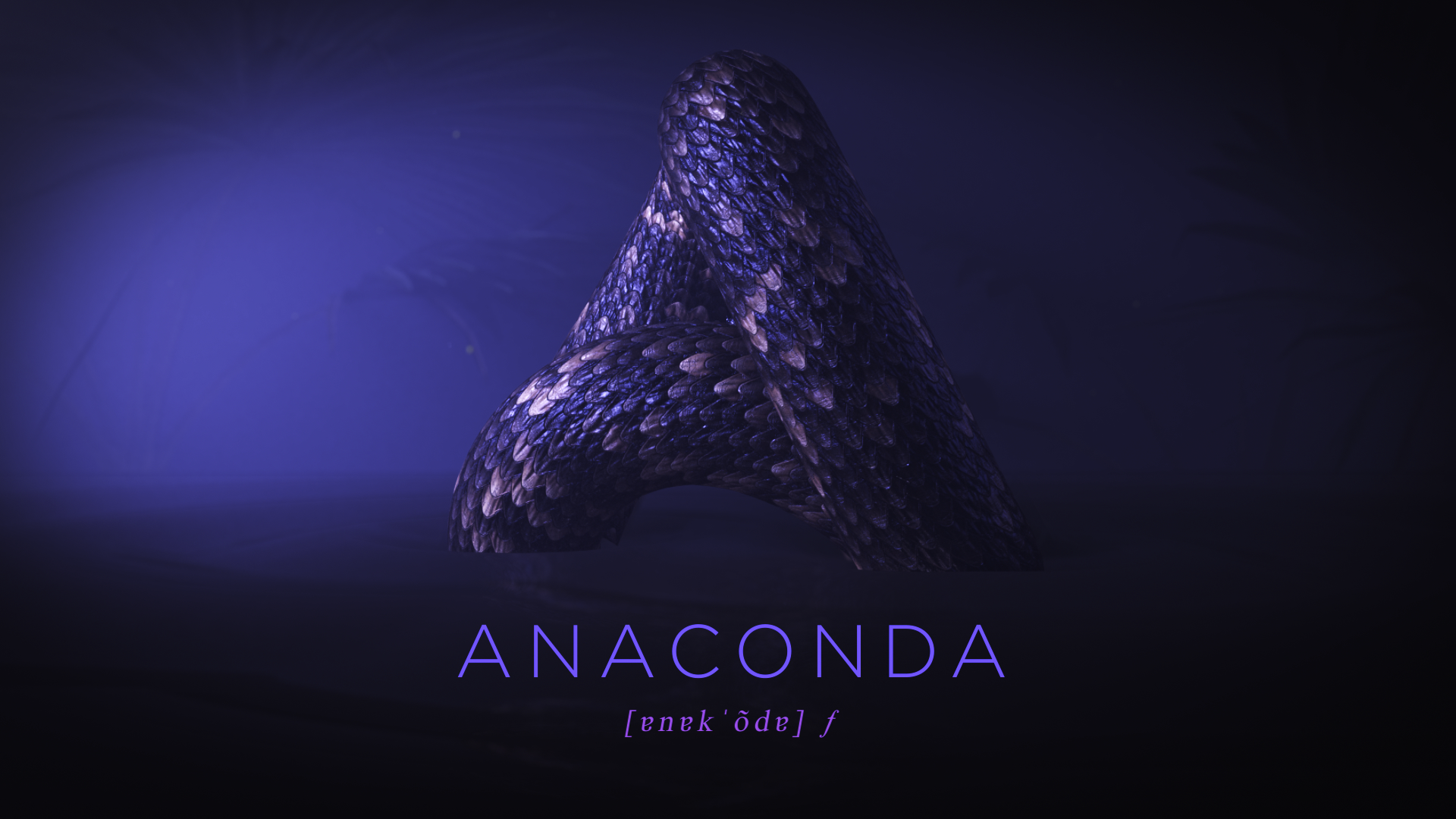 A_Anaconda